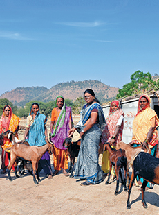 “Tribal families were engaged as landless labour, daily wage workers, etc. which led to economic hardships and debt at usurious interest rates. SNSF’s SHG (Self Help Group) was created to generate income from livestock.” – Muktidham Mahila Bachat Gat